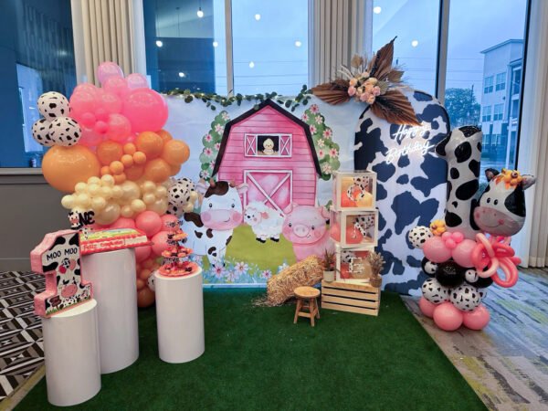 INFANT BIRTHDAY DECORATIONS